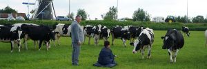 bruiloft videograaf Marry-U uit provincie utrecht voor provincie gelderland en brabant met trouwfilm en trouwclip